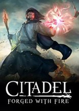 Citadel: Forged with Fire