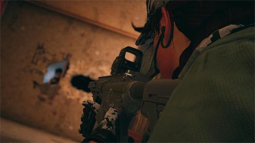 Скриншот Tom Clancy's Rainbow Six Siege Аккаунт №3