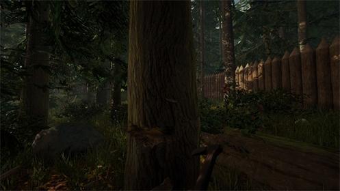 Скриншот The Forest Аккаунт №3
