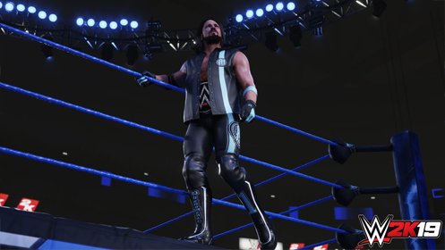 Скриншот WWE 2K19 №3