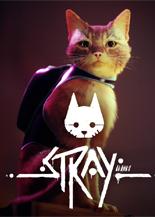 Stray Аккаунт